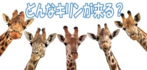 キリン