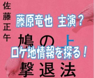 鳩の撃退法